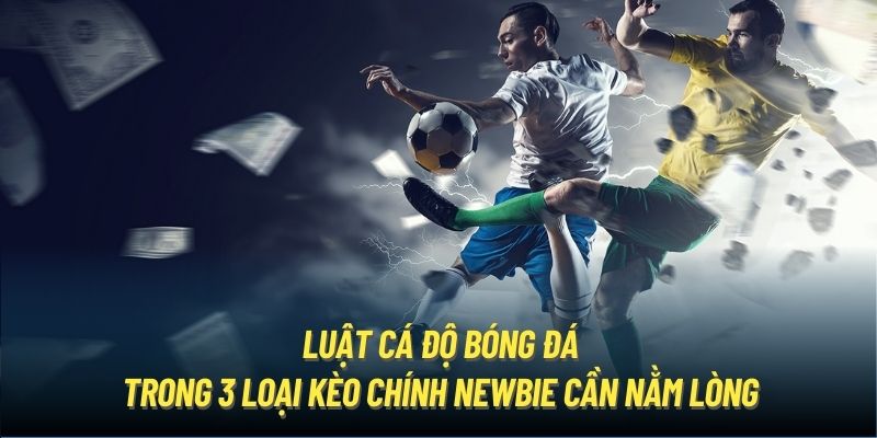 Luật cá độ bóng đá trong 3 loại kèo chính newbie cần nằm lòng