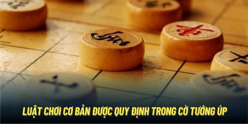 Luật chơi cơ bản được quy định trong cờ tướng úp