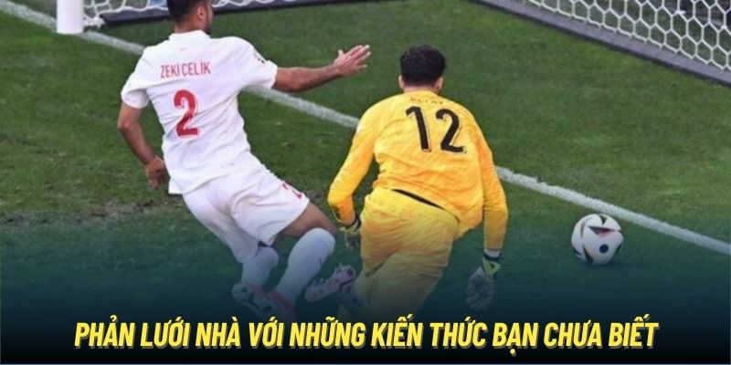 Phản lưới nhà với những kiến thức bạn chưa biết