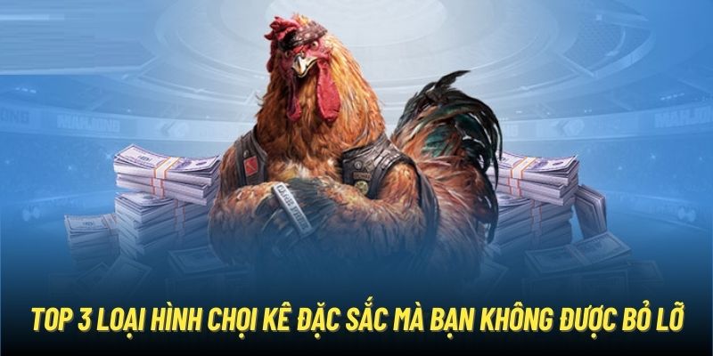 Top 3 loại hình chọi kê đặc sắc mà bạn không được bỏ lỡ